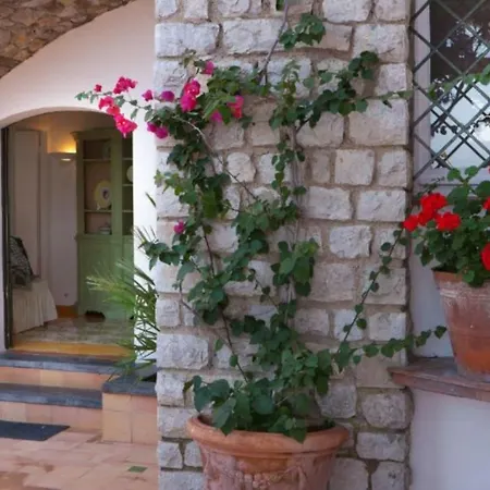 Estate4home - San Montano Villa *