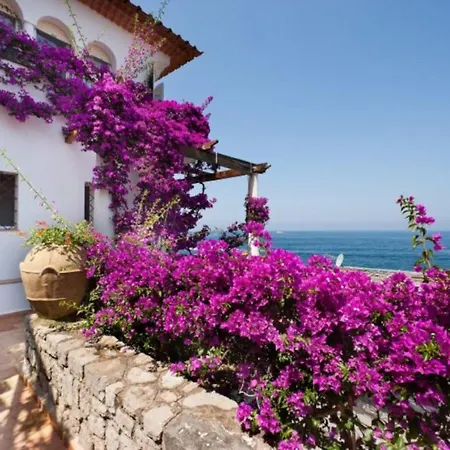 Estate4home - San Montano Villa